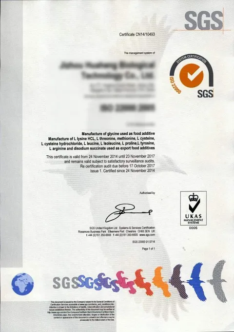 SCAN ISO22K EN 2 SCAN ISO22K EN 2