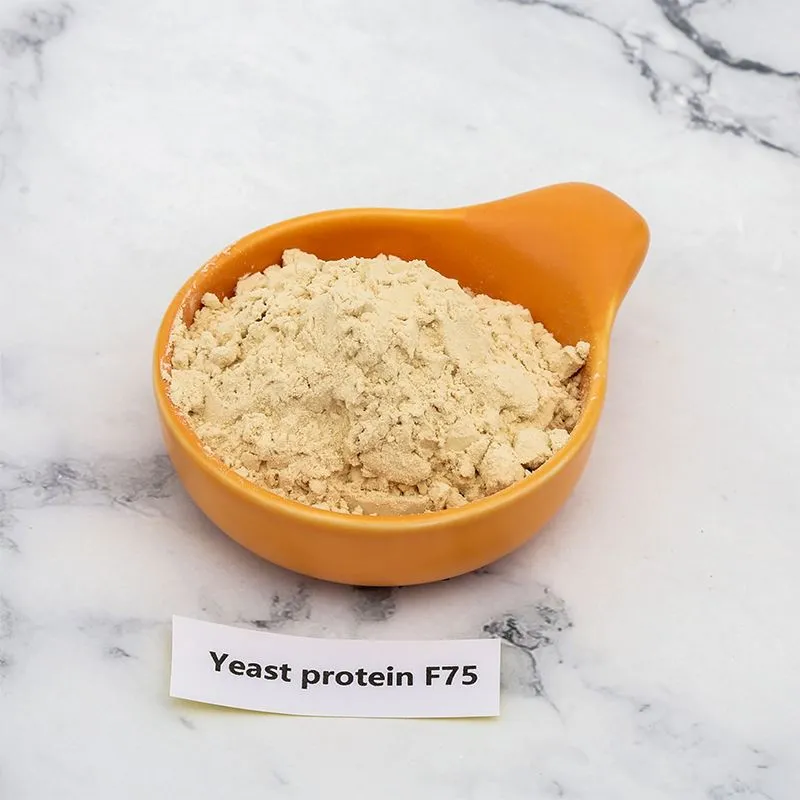 Yeast Protein